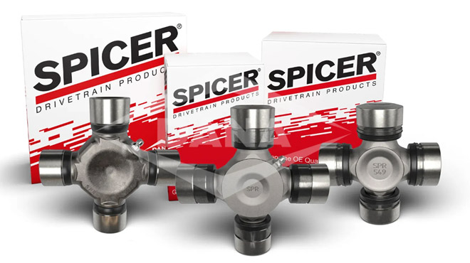 Dana-Spicer-Canarias